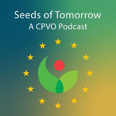 Introduction to the CPVO