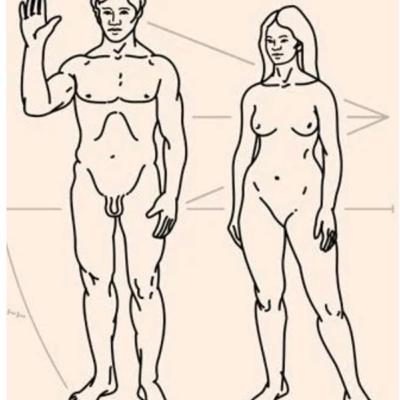 Men🧍🏾vs Women🧍🏽♀️ Men🧍🏾vs Women🧍🏽♀️