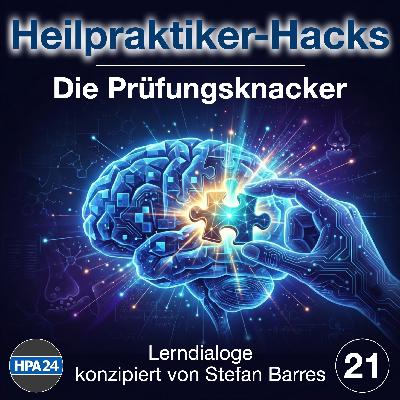 Prüfungswissen Ohr - Anatomie, Physiologie und die häufigsten Fallen Prüfungswissen Ohr - Anatomie, Physiologie und die häufigsten Fallen
