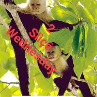 It's 2 Slice Wednesday It's 2 Slice Wednesday