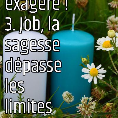Dieu exagère ! 3. Job, la sagesse dépasse les limites