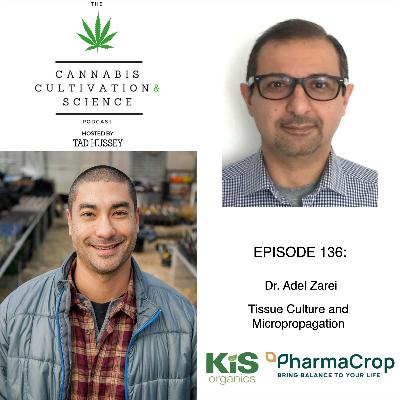 Episode 136: Tissue Culture and Micropropagation with Dr. Adel Zarei