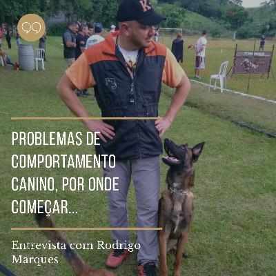 Qual o motivo de 95% dos problemas de comportamento dos cães Qual o motivo de 95% dos problemas de comportamento dos cães
