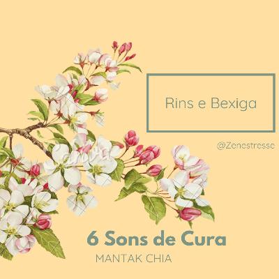 ⛲Prática dos 6 Sons de Cura - Rins e Bexiga- Chuuuuuuu⛲