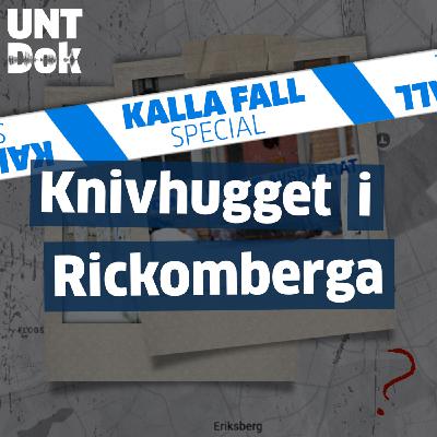 KALLA FALL: Knivhugget i Rickomberga