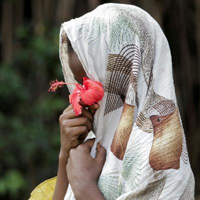 The hidden victims of Congo’s war