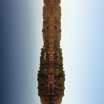 Le Goût de Penser #80 - La Justice Sociale de Rawls Le Goût de Penser #80 - La Justice Sociale de Rawls