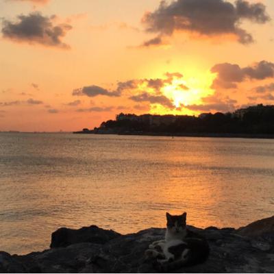 ÜMİT YAŞAR OĞUZCAN’DAN (deneme amaçlıdır)