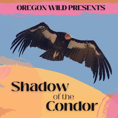 Oregon Wildcast: Shadow of the Condor