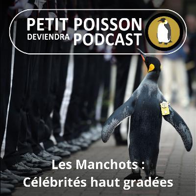 S05E21 Les Manchots : Célébrités haut gradées (Mathilde Chevallay)
