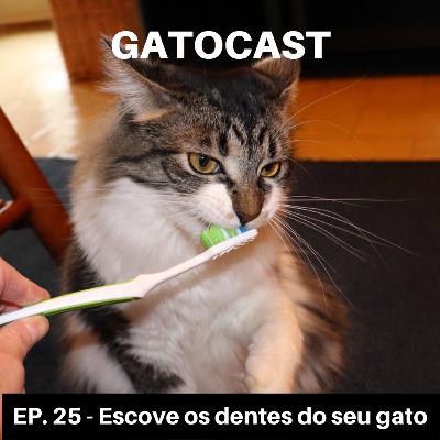EP. 25 - Escove os dentes do seu gato