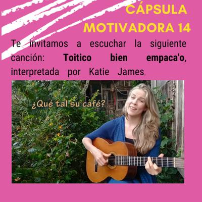 Cápsula Motivadora N 14 Cápsula Motivadora N 14