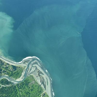 #25: A river is reborn