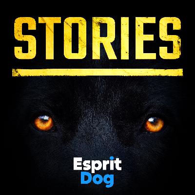 "J'ai travaillé dans la clinique véto de l'enfer" - STORIES - EP 01