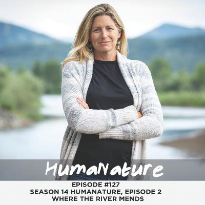 Where The River Mends