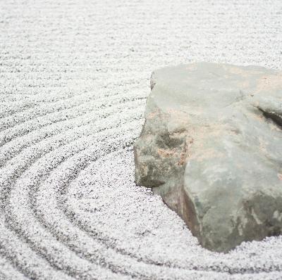 167. Человек, искусственный интеллект и дзен