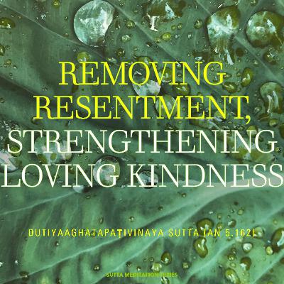 UPOSATHA - Removing resentment, strengthening loving kindness (livestream)