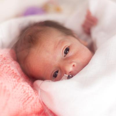 Е50: Недоносените бебета - родени за битка Е50: Недоносените бебета - родени за битка