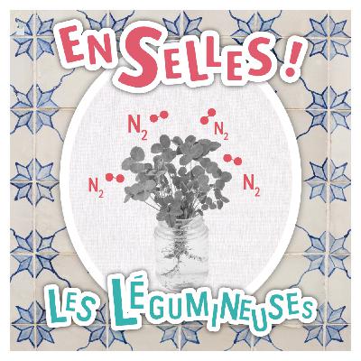 Episode 2 – les légumineuses Episode 2 – les légumineuses