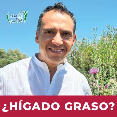 ¿Hígado graso? El Cardo Mariano puede ayudarte