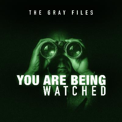 You Are Being Watched: The Algorithmic Digital Surveillance That Never Forgets