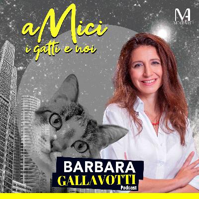 aMici - i gatti e noi