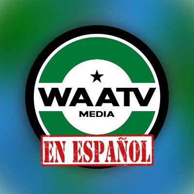 #268 - WAATV En Español: ¡Que sigan las victorias!