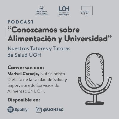 Conozcamos sobre Alimentación y Universidad