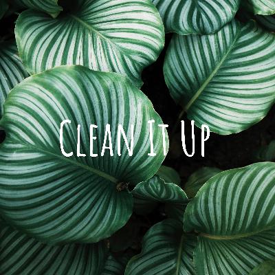 22. Household cleaning products