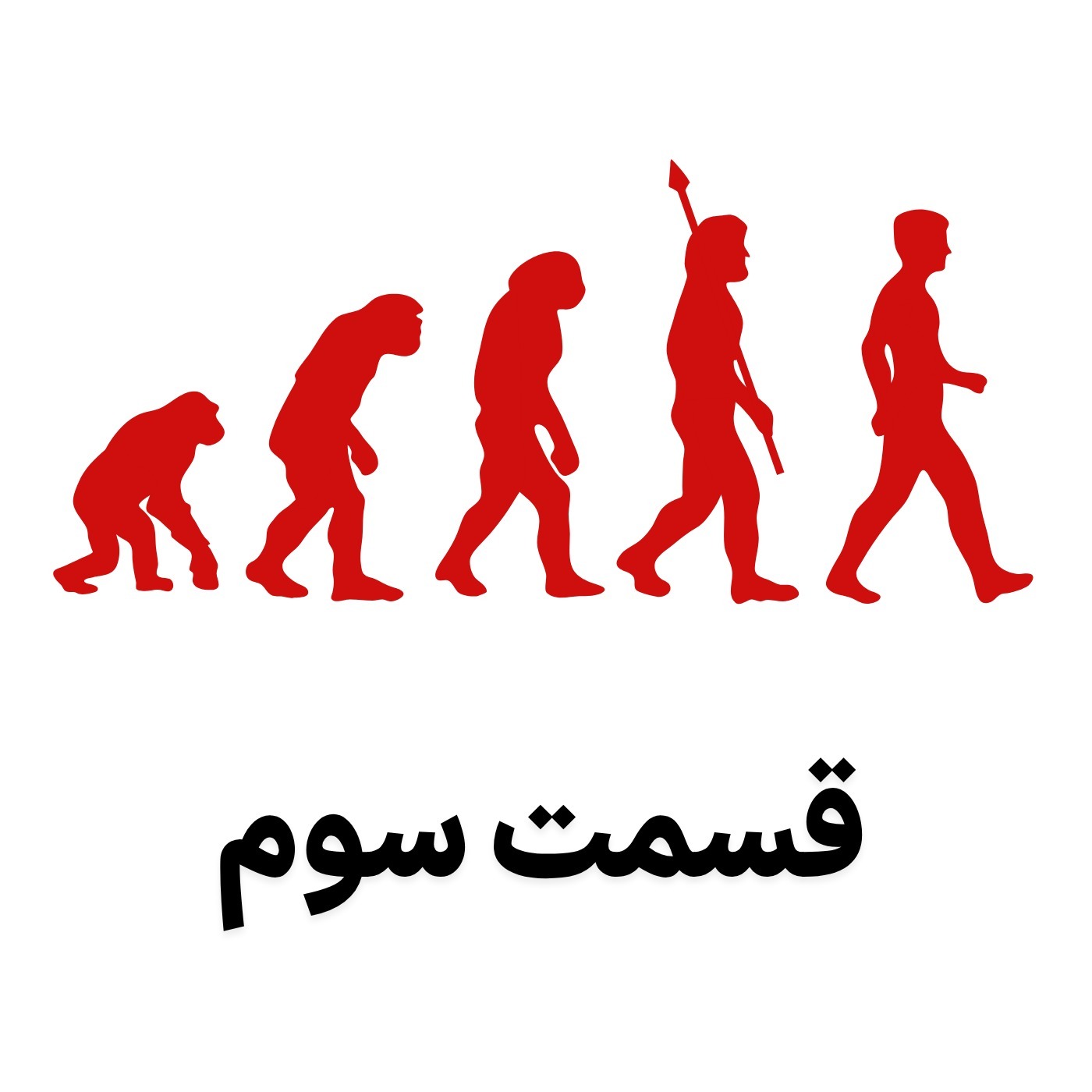 تاریخ یک کتاب تخصصی برای بازاریابی است