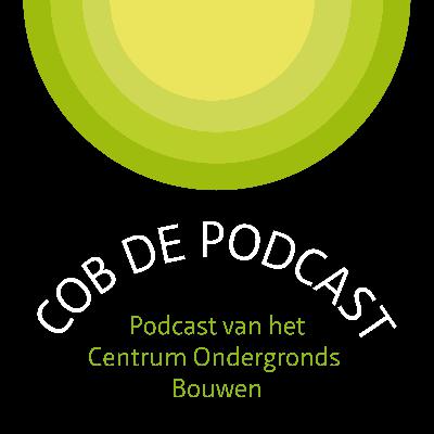 Gedragspsycholoog in de kabels-en-leidingensector Gedragspsycholoog in de kabels-en-leidingensector