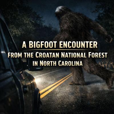Bigfoot Ran Across The Road In Front Of My Truck | Croatan National Forest (North Carolina) Bigfoot Ran Across The Road In Front Of My Truck | Croatan National Forest (North Carolina)