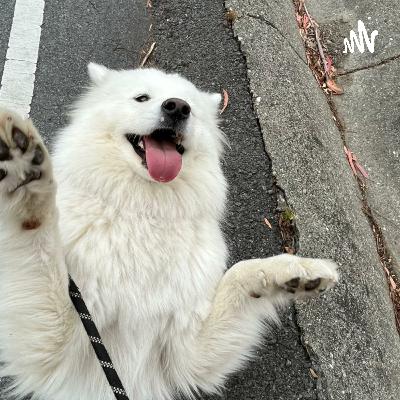 Fish ~ everything you need to know