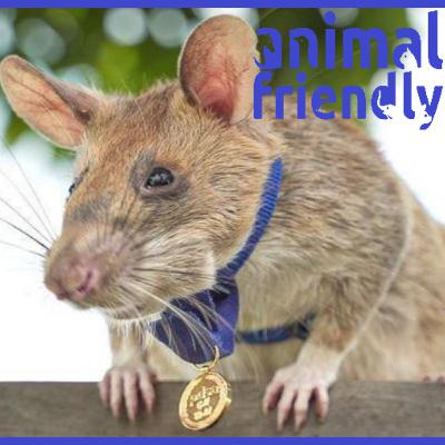 10. The Super-Sniffers