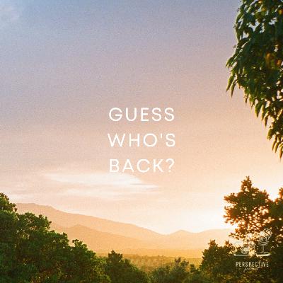 Perspective est de retour ! Perspective est de retour !