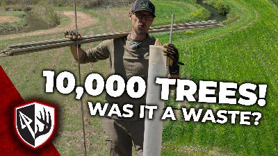 S:16 10,000 Trees! Was It a WASTE?