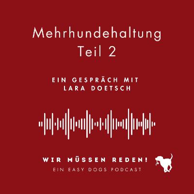 MEHRHUNDEHALTUNG, TEIL 2 mit Lara Doetsch