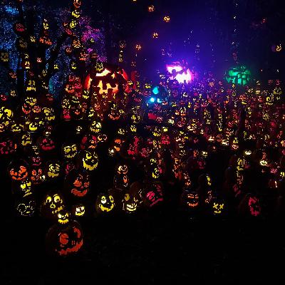 Minnesota Show Jack O Lantern Spectacular continues until AFTER Halloween. Minnesota Show Jack O Lantern Spectacular continues until AFTER Halloween.