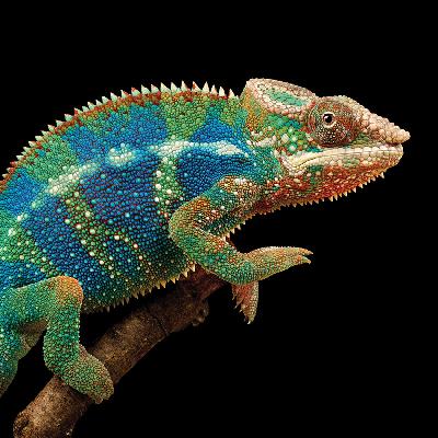 Series 1 - Organisational Culture Series 1 - Organisational Culture