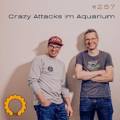 #257 Fischbecken, Jeep, Saugroboter - 3 Hacks, 1 Lesson: Zero Trust
