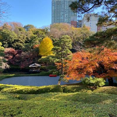 マインドフルな時間と風の時代の常陸のお茶 マインドフルな時間と風の時代の常陸のお茶