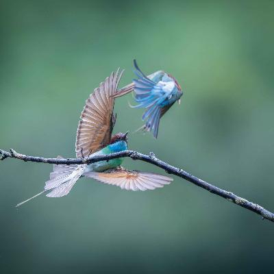 Kompromisløshed og fælles fundament