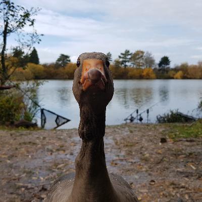 Watch - Trip 9 Carp Fishing 2025