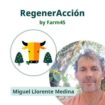 22. Miguel Llorente y la resiliencia a través de la permacultura, la agricultura regenerativa y la agroforestería sintrópica