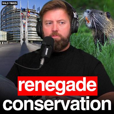 How Beavers Are Illegally Saving Europe’s Ecosystems