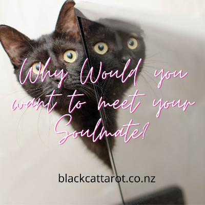 Why would you want to meet your Soulmate? Why would you want to meet your Soulmate?