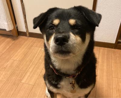 2025.11/11 テレパシーで通じる from Radiotalk