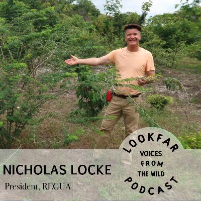 Nicholas Locke - Building the Reserva Ecológica De Guapiaçu Nicholas Locke - Building the Reserva Ecológica De Guapiaçu