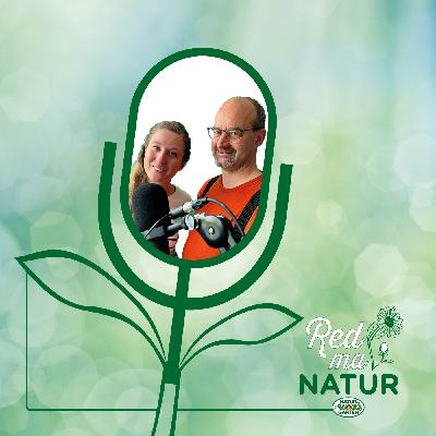 Ideen säen, Vielfalt ernten – Inspiration aus einem Gartenprojekt