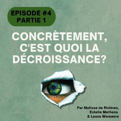 #4 La décroissance, c'est quoi concrètement? Partie 1